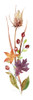 Autumn Botanical I Poster Print - Carol Robinson # VARPDX43431