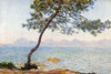 Antibes with tree 1888 Poster Print - Claude Monet # VARPDX66965