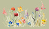 Wildflowers On Green Poster Print - Lanie Loreth # VARPDX13148D