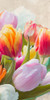 Spring Tulips III Poster Print - Luca Villa # VARPDX2LC5827