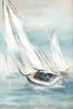 Catching Wind Poster Print - Nan # VARPDX46634