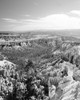 Bryce Canyon National Park-Utah Poster Print - Carol Highsmith # VARPDX64647