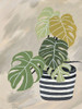 Potted Back To Nature I Poster Print - Patricia Pinto # VARPDX16592AK