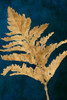Gold Leaves on Navy I Poster Print - Lanie Loreth # VARPDX13617F