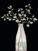 Modern Floral On Black II Poster Print - Elizabeth Medley # VARPDX16131JB