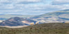 Highland Grazing I Poster Print - Danny Head # VARPDX214293