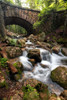 Stone Bridge II Poster Print - Danny Head # VARPDX213476