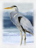 Blue on Blue Heron I Poster Print - Lanie Loreth # VARPDX11923CF