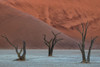 Deadvlei Poster Print - Luigi Ruoppolo # VARPDX1839835