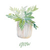 Grow Plant Poster Print - Lanie Loreth # VARPDX13864J