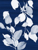 Simple Leaves on Navy Poster Print - Lanie Loreth # VARPDX13866AA