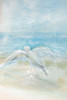 Flying Seagull Poster Print - Diannart # VARPDX13400AC