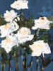 White Roses On Blue Poster Print - Jane Slivka # VARPDX13825FA