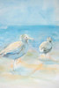 Wading Seagulls Poster Print - Diannart # VARPDX13399AC