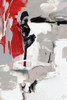 Splash of Red I Poster Print - Lanie Loreth # VARPDX12098C
