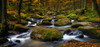 Autumn Waters Poster Print - Norbert Maier # VARPDX1205258