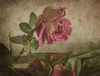 Tear Of Rose Poster Print - Igor Tokarev # VARPDX1022925