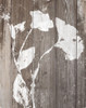 Brown Floral Whisper on Wood Background II Poster Print - Lanie Loreth # VARPDX11595J