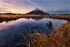 Mount Taranaki: Morning Breeze Poster Print - Yan Zhang # VARPDX1009098