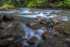 Washington State-Olympic National Park Dungeness River rapids by Jaynes Gallery - Item # VARPDXUS48BJY1527