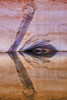 Utah, Glen Canyon Abstract reflection sandstone by Don Paulson - Item # VARPDXUS45BJY0078