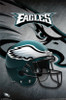 Philadelphia Eagles - Helmet 15 Poster Poster Print - Item # VARTIARP13992