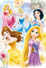 Disney Princess - Group Poster Poster Print - Item # VARGPE4803