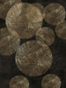 Golden Circles Poster Print - Aimee Wilson - Item # VARPDXWL525A