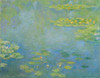 Waterlilies 1906 - Claude Monet Poster Print - Claude Monet - Item # VARPDXQCL1155