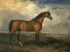 Vintage Horse Painting Poster Print - Unknown - Item # VARPDXQCL1104