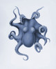 Vintage Octopus Illustration Poster Print - Unknown
