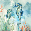 Coral Bay Seahorses Poster Print - Nan - Item # VARPDX49717