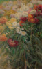 Chrysanthemums in the Garden at Petit-Gennevilliers Poster Print - Gustave Caillebotte - Item # VARPDXQCL1049