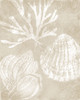 Neutral Coral I Poster Print - Carol Robinson