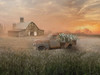 Early Morning Fog Poster Print - Nan