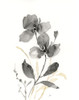 Elegant Silhouette II Poster Print - Nan