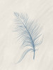_Soft Feather 3.jpg Poster Print - Kimberly Allen - Item # VARPDXKARC4073C