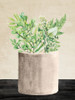 Stone Vase Greens 2 Poster Print - Kimberly Allen - Item # VARPDXKARC4035B