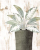 Pots 2 Poster Print - Kimberly Allen