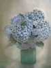Beauty 2 Poster Print - Doris Charest