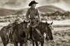 Washoe Poster Print - Lisa Dearing