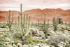 Desert Hills 2 Poster Print - Kimberly Allen - Item # VARPDXKARC3997B