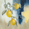 Lemons From the South I Poster Print - Silvia Vassileva - Item # VARPDX88697