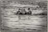 Hippos Eyes Poster Print - Richard Silver