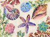 Spectrum Shells Horizontal � Natural Poster Print - Paul Brent - Item # VARPDX23563A