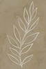 Leaf Line Art III Poster Print - Andrea Haase - Item # VARPDX210887FN