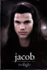 Twilight - Jacob Poster Poster Print - Item # VARPYRPAS0055