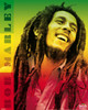 Bob Marley - Colors Poster Poster Print - Item # VARPYRPAM0378