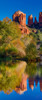 USA- Arizona- Red Rock State Park with Oak Creek and Cathedral Rock Poster Print - Darrell Gulin (15 x 36)