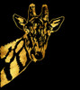 Golden Giraffe Poster Print - Tina Lavoie (24 x 27)